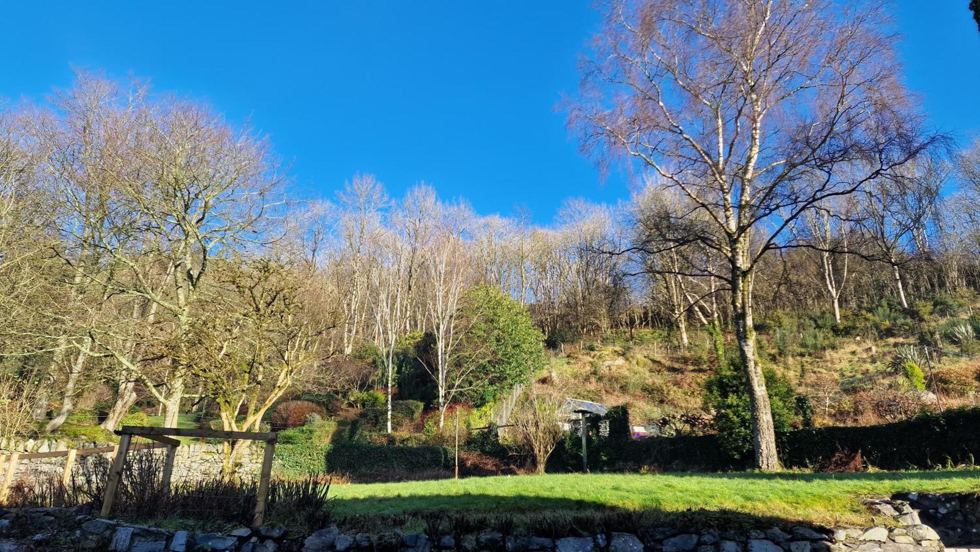 Nordlys Cottage Newton Stewart Exterior photo